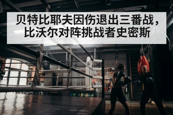 boxer training